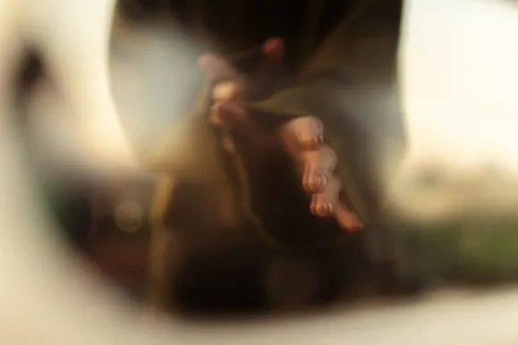 Casino Royal Slots Stuðningur